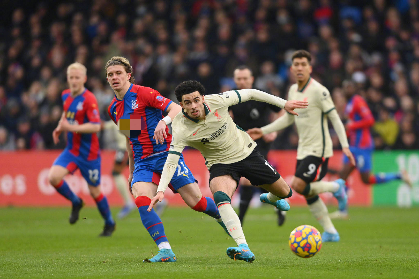 而球队亦可 而球队亦可