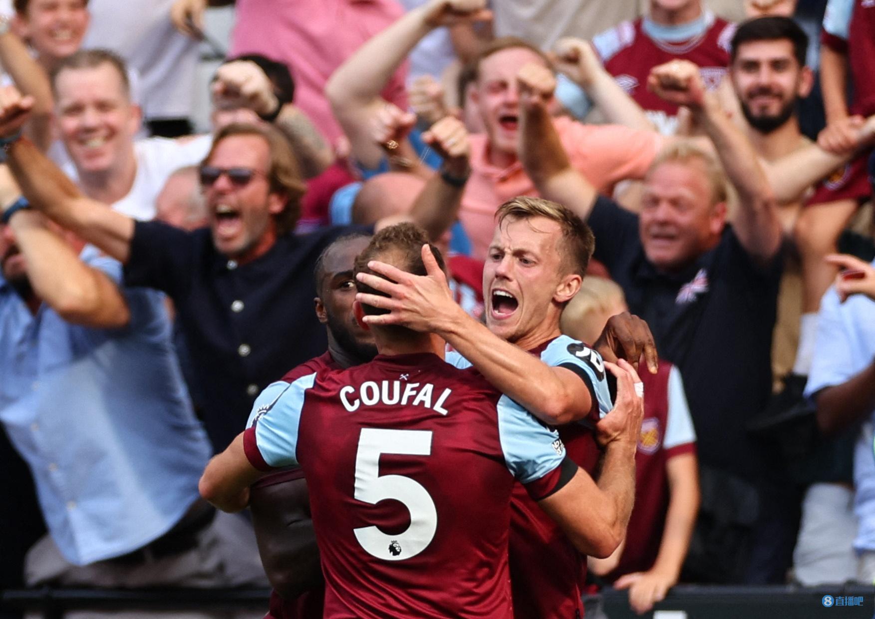 当范德彪把 当范德彪把